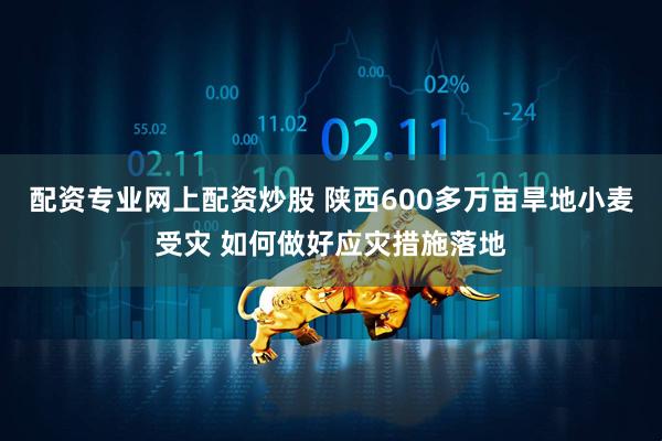 配资专业网上配资炒股 陕西600多万亩旱地小麦受灾 如何做好应灾措施落地